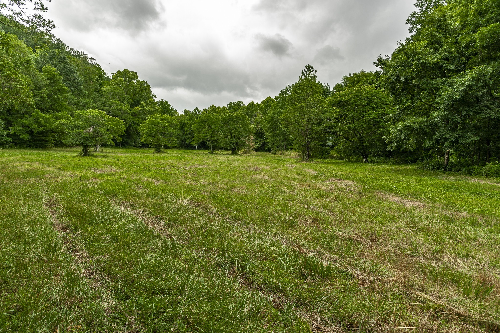 1469 Dividing Ridge Road Goodlettsville, TN 37072 - Photo 55 of 67 Gallery Image 55