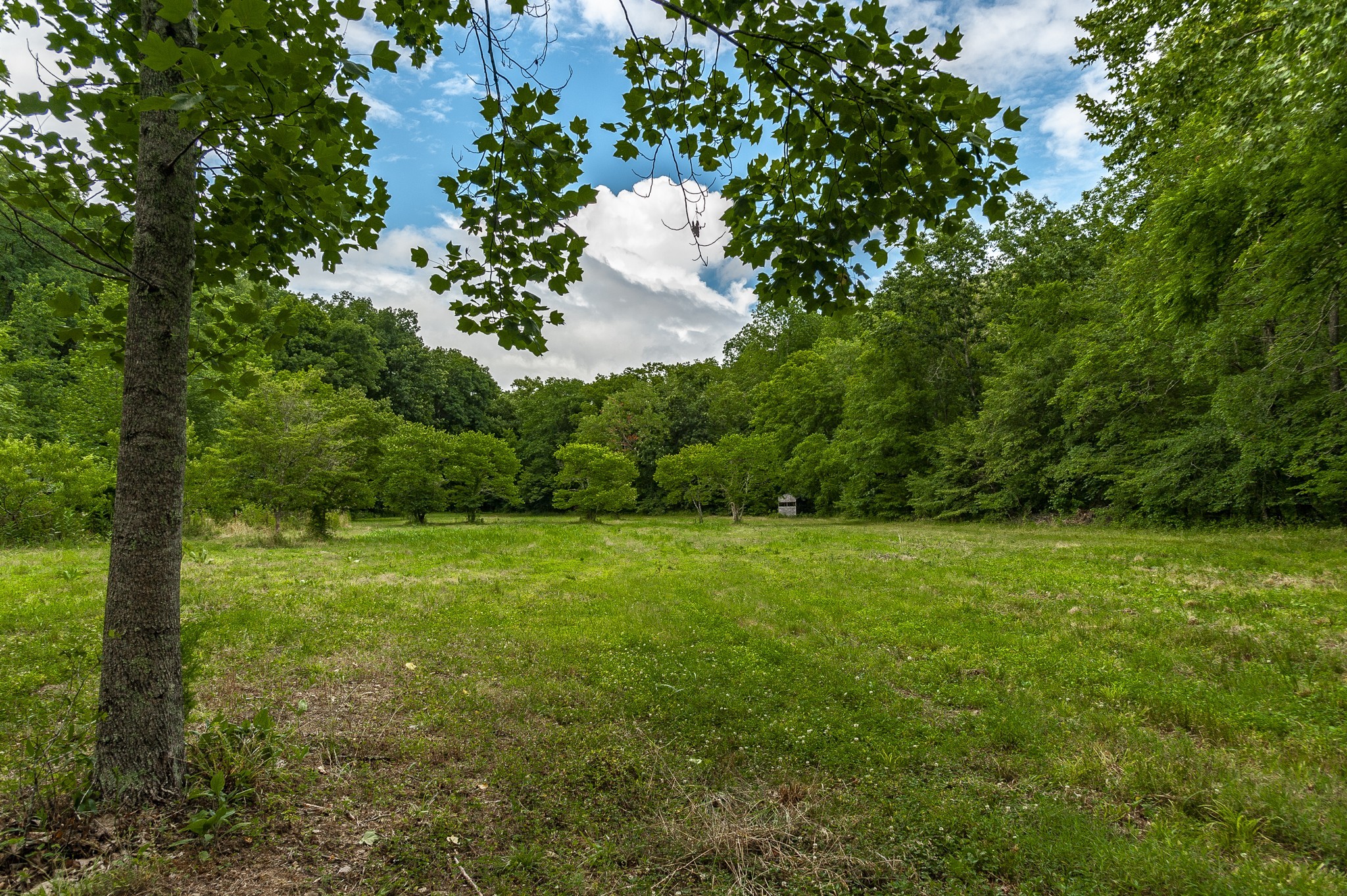 1469 Dividing Ridge Road Goodlettsville, TN 37072 - Photo 56 of 67 Gallery Image 56