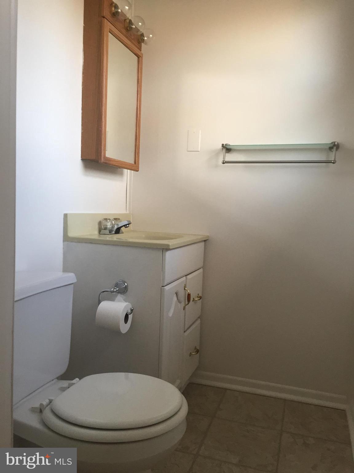 238 Candytuft Road Reisterstown, MD 21136 - Photo 8 of 18 Bath (Master)