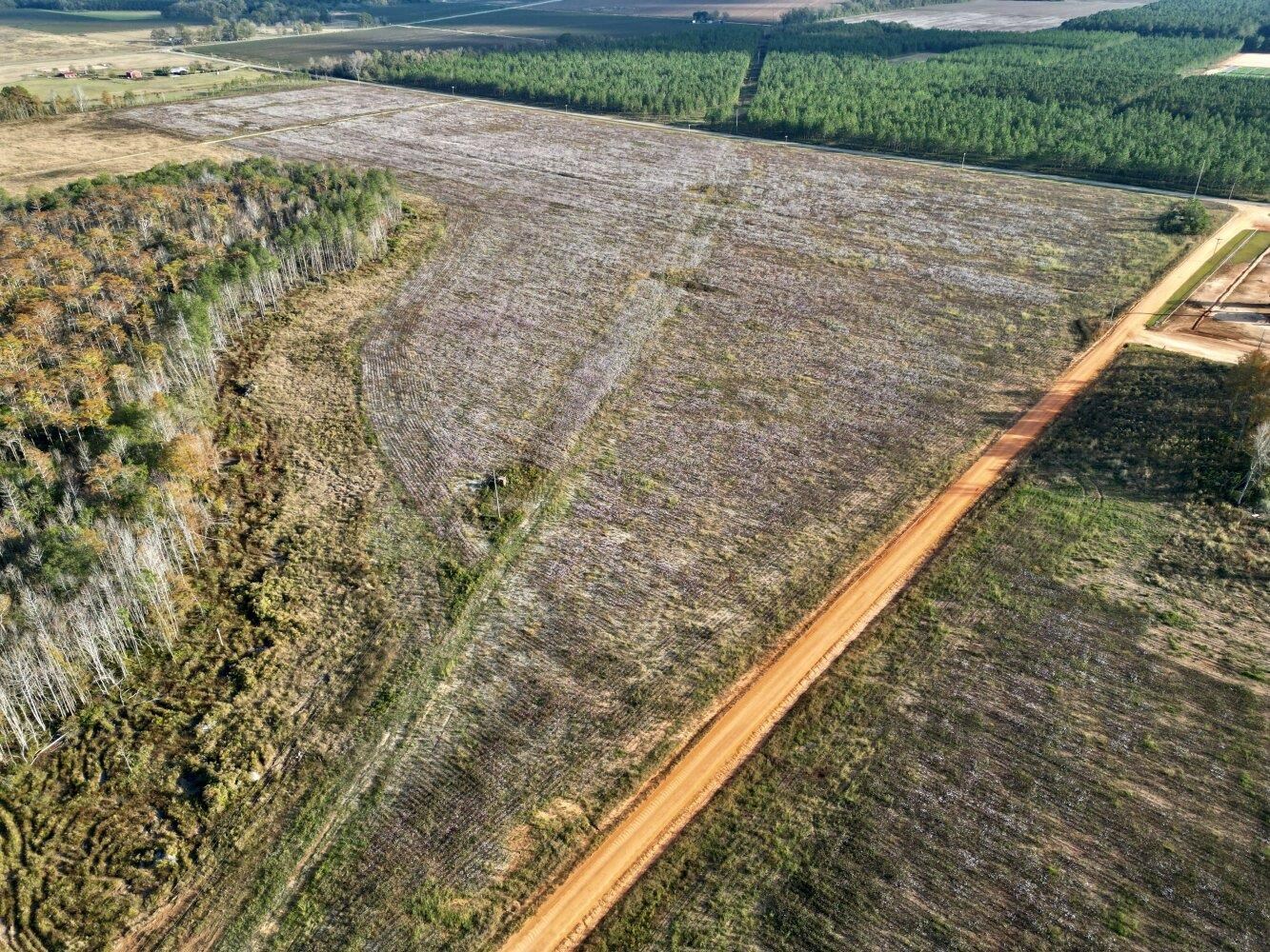 0 Wayside Road Atmore, AL 36502 - Photo 8 of 34