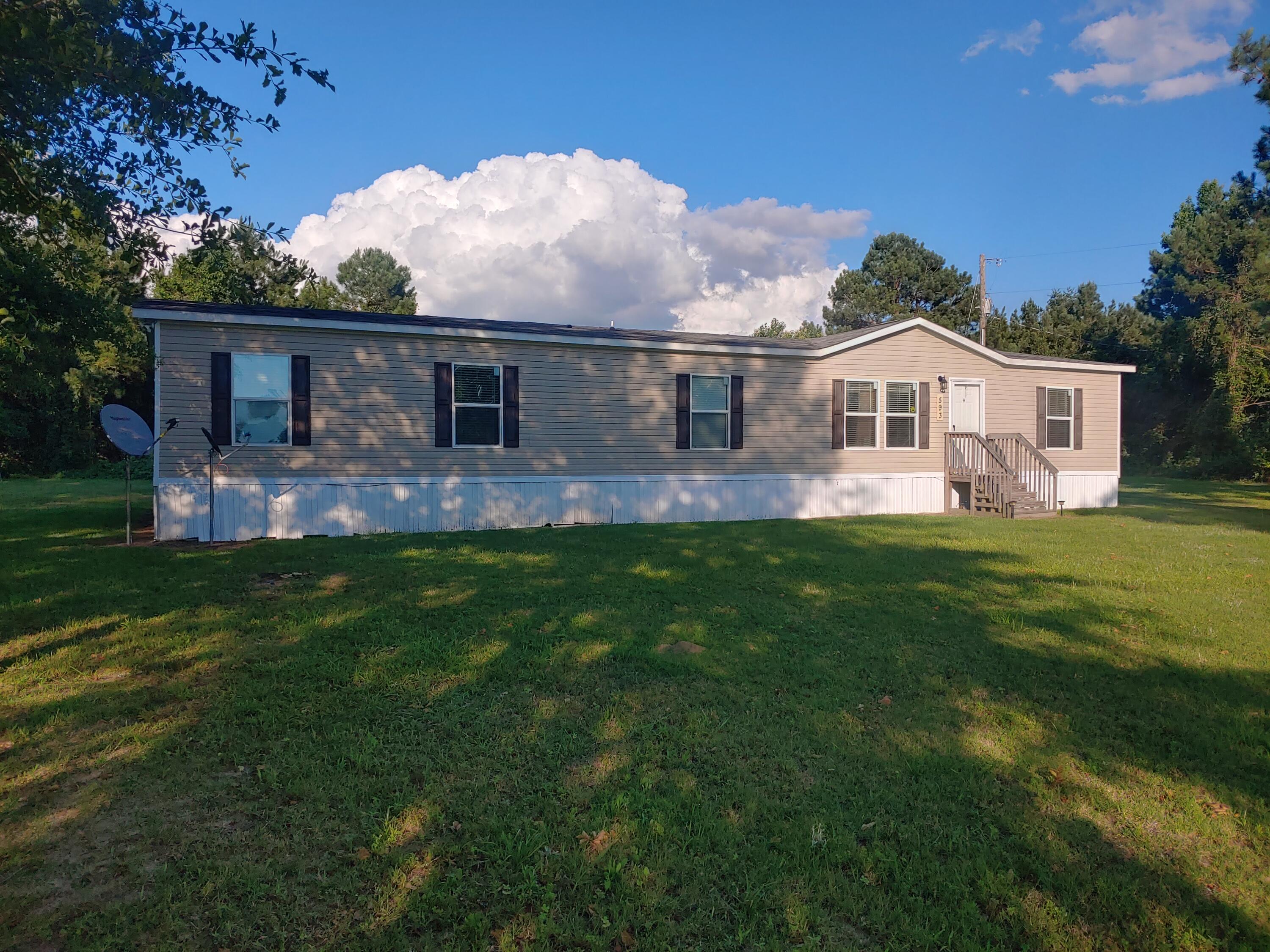 593 Mt Olive Road Santee, SC 29142 - Photo 1 of 32 Plenty of Space