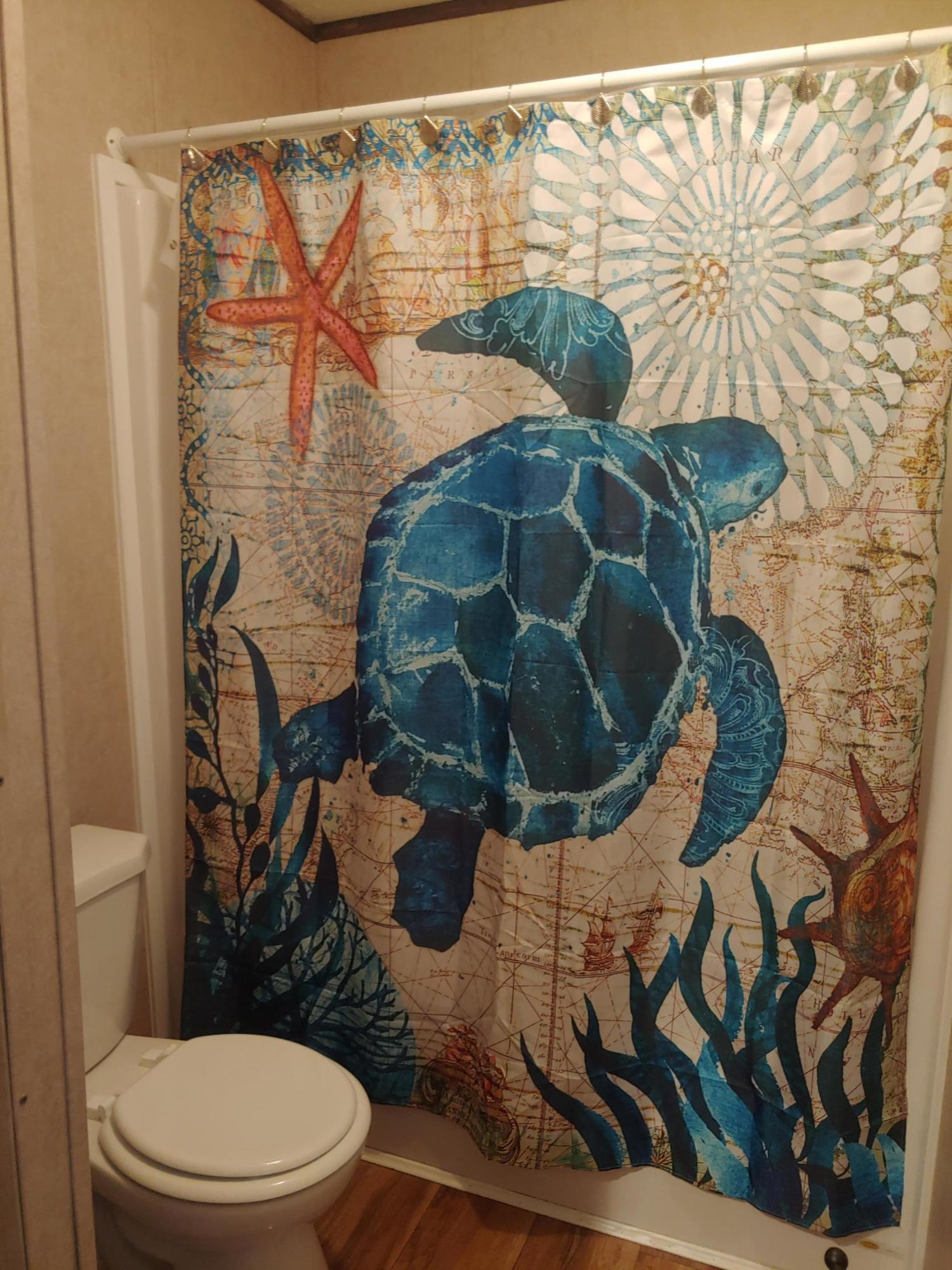 593 Mt Olive Road Santee, SC 29142 - Photo 18 of 32 Spare Bathroom