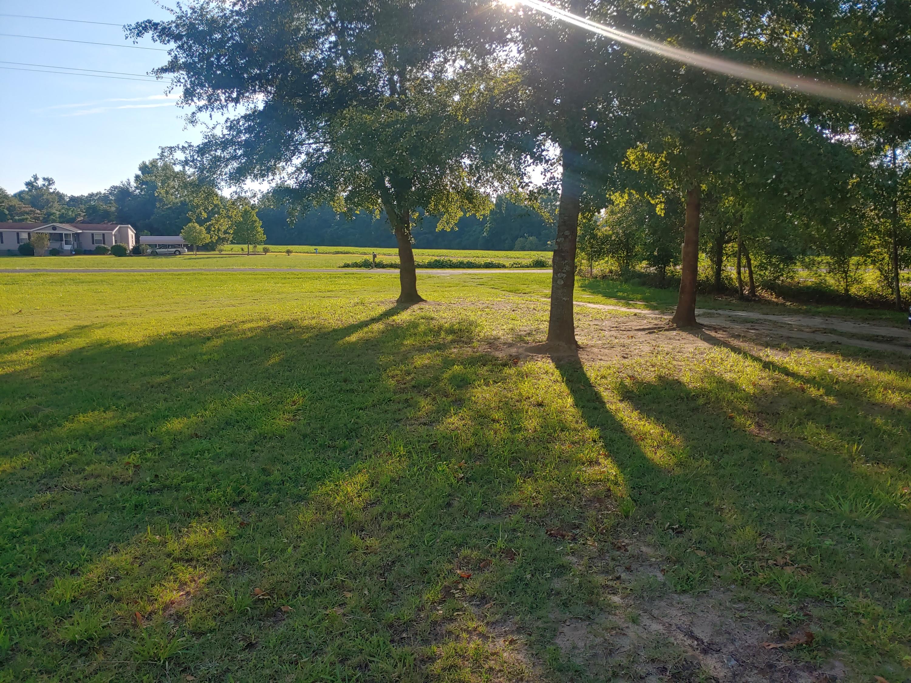 593 Mt Olive Road Santee, SC 29142 - Photo 3 of 32 Beautiful Front Yard