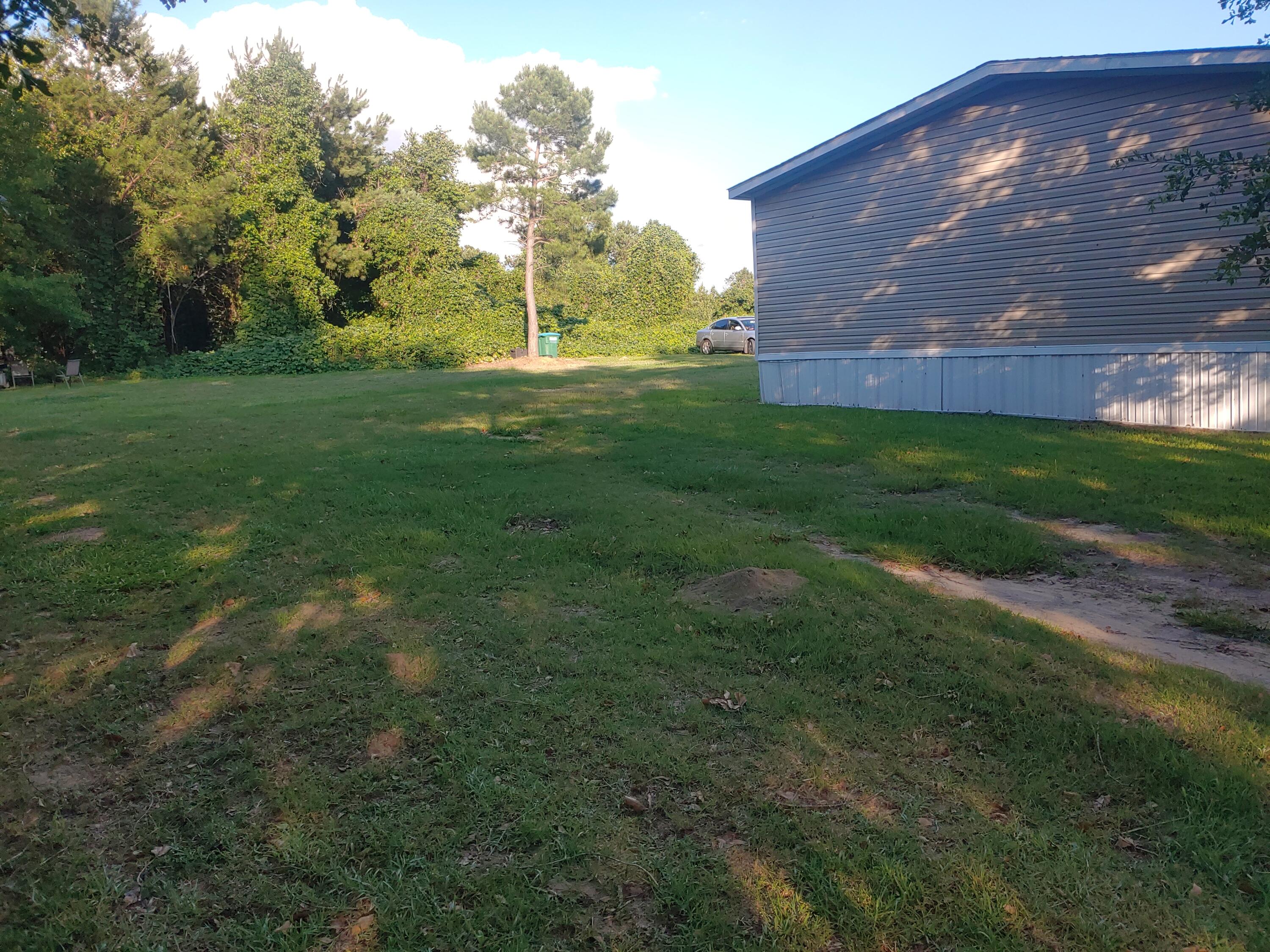593 Mt Olive Road Santee, SC 29142 - Photo 30 of 32 Green Space Galore