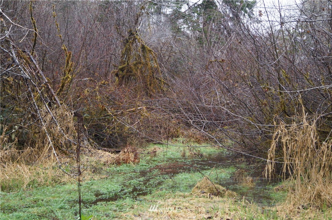 551 West River Run Road Elma, WA 98541 - Photo 2 of 12 Gallery Image 2