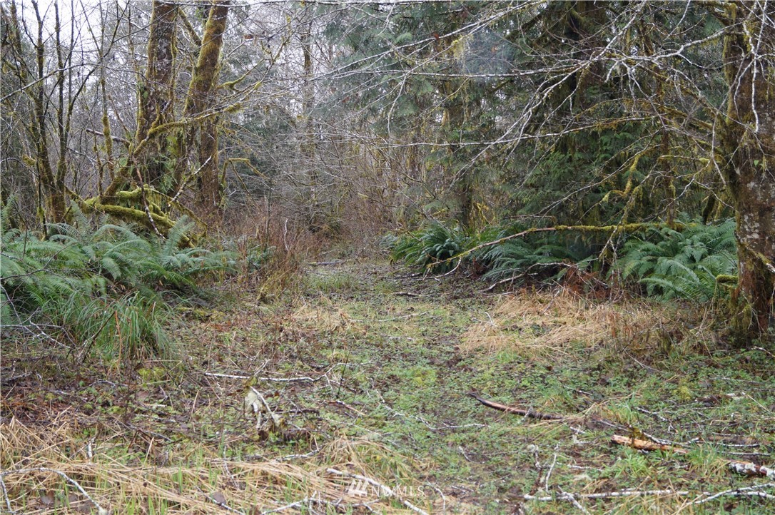 551 West River Run Road Elma, WA 98541 - Photo 3 of 12 Gallery Image 3