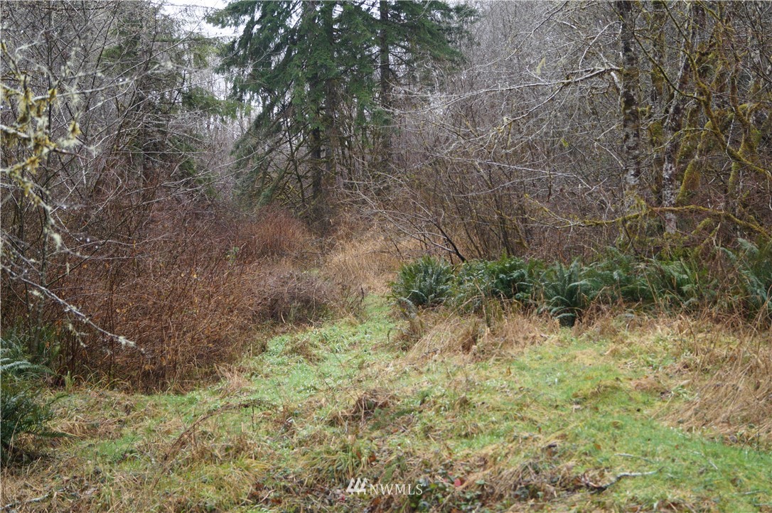 551 West River Run Road Elma, WA 98541 - Photo 7 of 12 Gallery Image 7