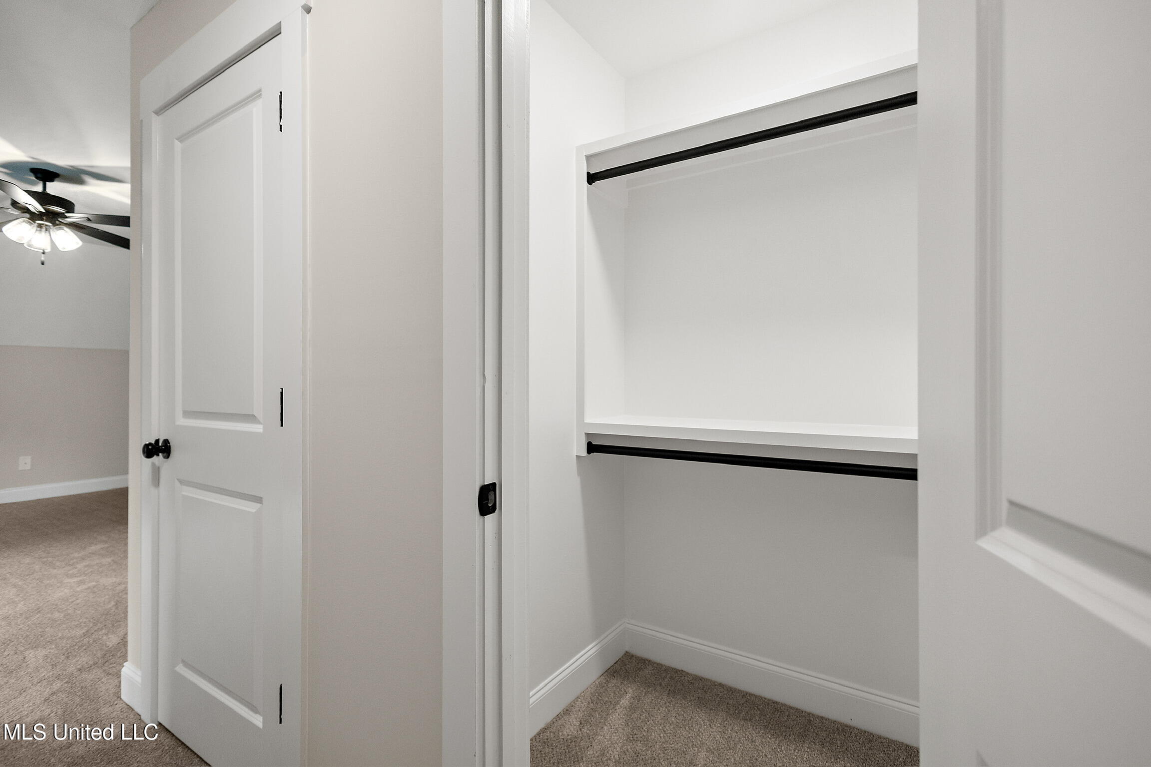 1375 Creekside Lane Hernando, MS 38632 - Photo 32 of 38 Hackberry