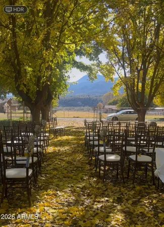 a big yard with large trees