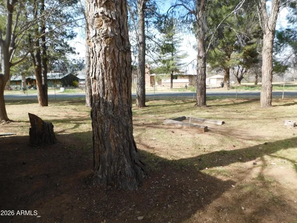 a view of a swimming pool with a yard