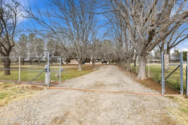 a view of a park with large trees