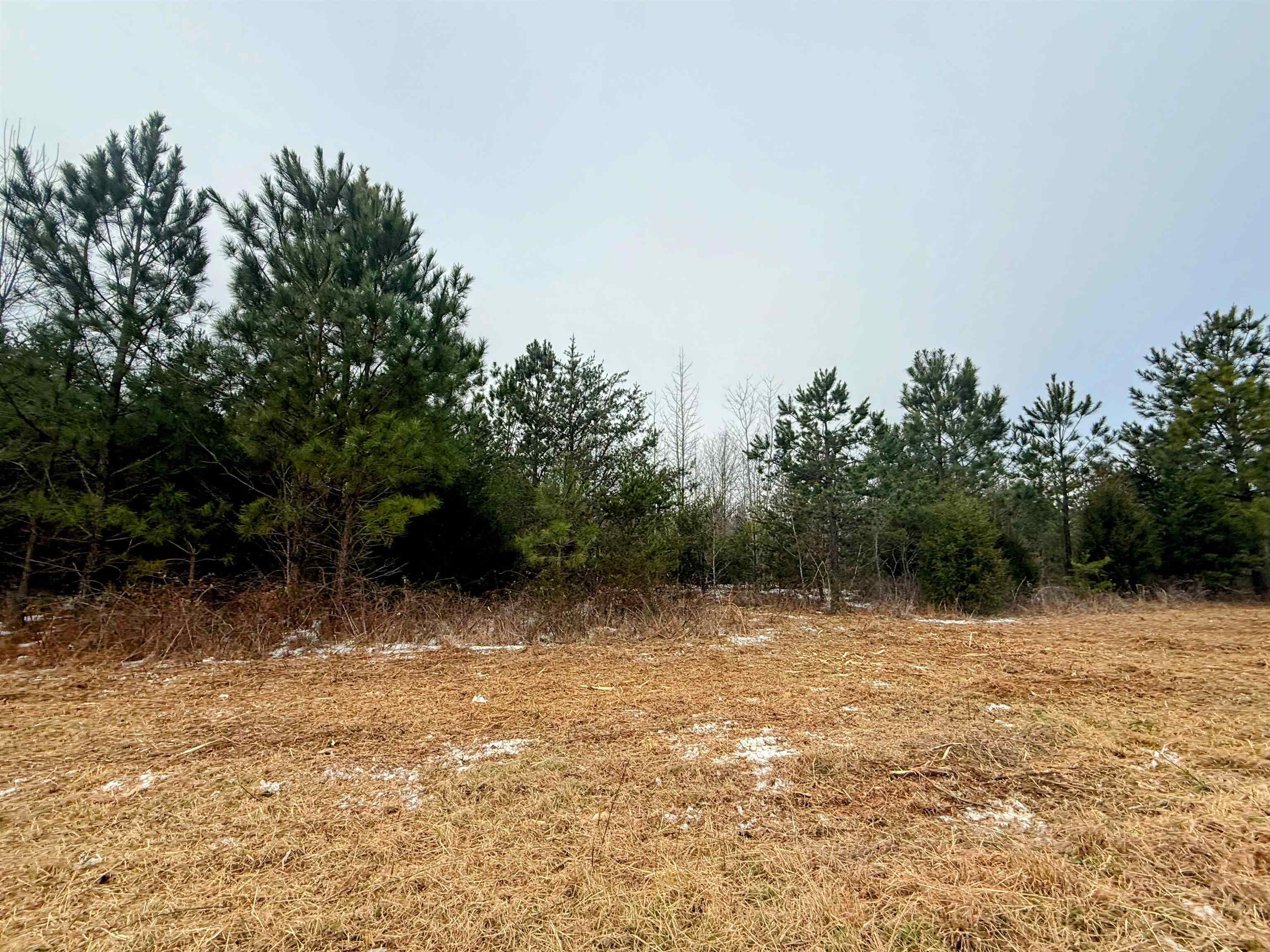 0 Peachtree Road Chesnee, SC 29323 - Photo 3 of 9