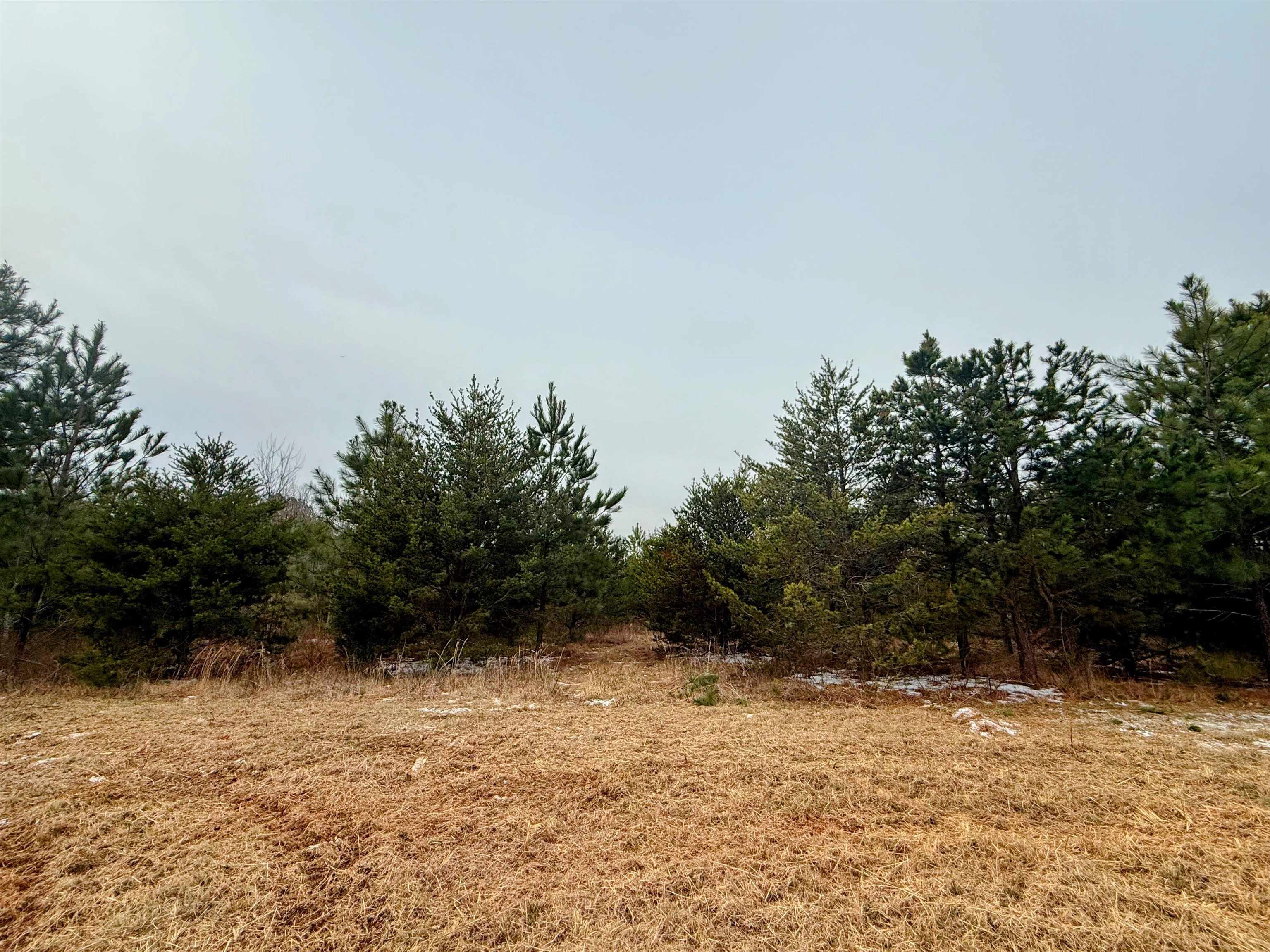 0 Peachtree Road Chesnee, SC 29323 - Photo 6 of 9