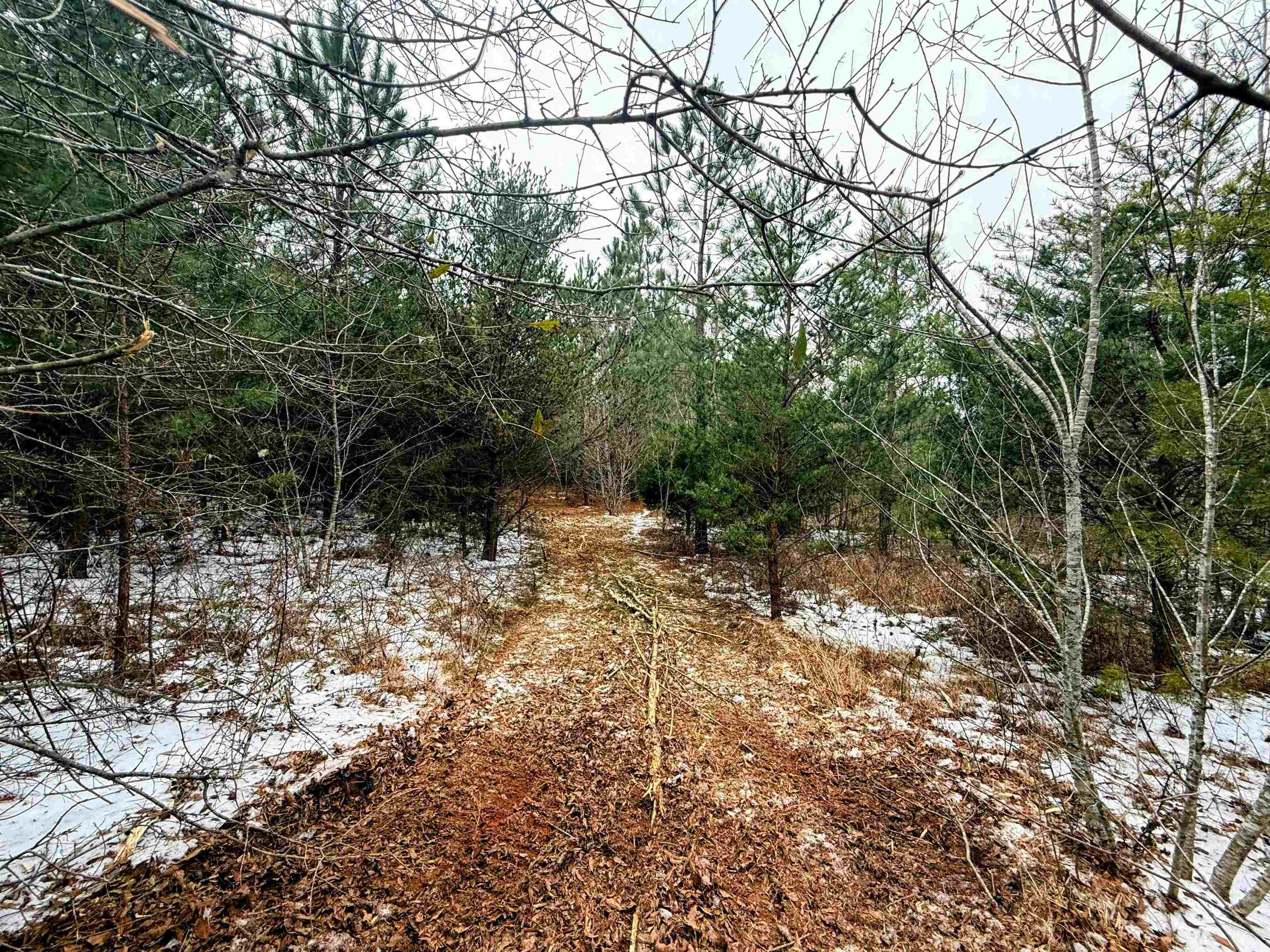 0 Peachtree Road Chesnee, SC 29323 - Photo 8 of 9