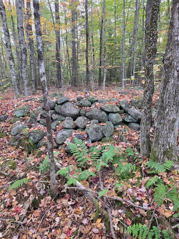 $115,000 | 165 Bullocks Crossing Road, Grafton, NH 03240