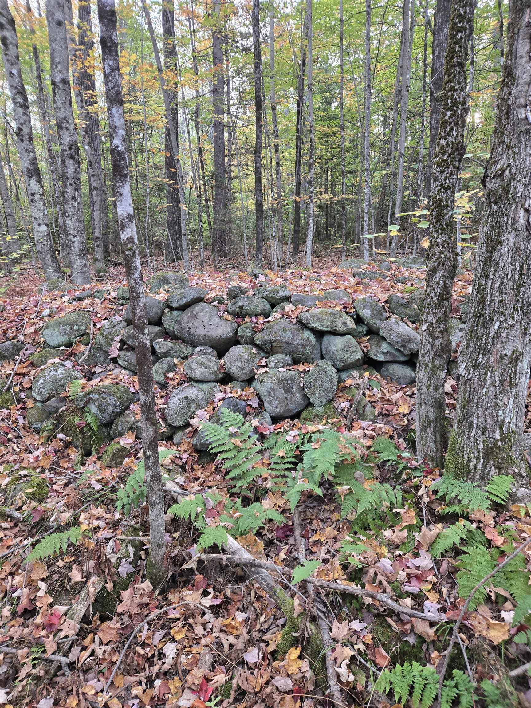 165 Bullocks Crossing Road Grafton, NH 03240 - Photo 2 of 12