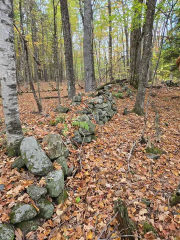 $115,000 | 165 Bullocks Crossing Road, Grafton, NH 03240