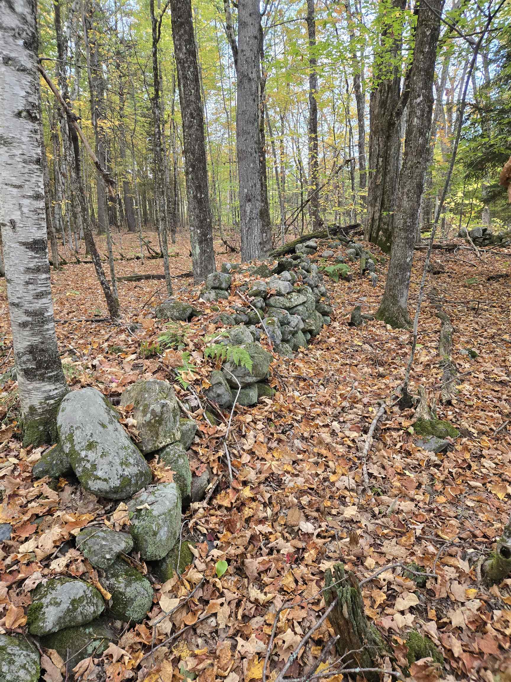 165 Bullocks Crossing Road Grafton, NH 03240 - Photo 3 of 12
