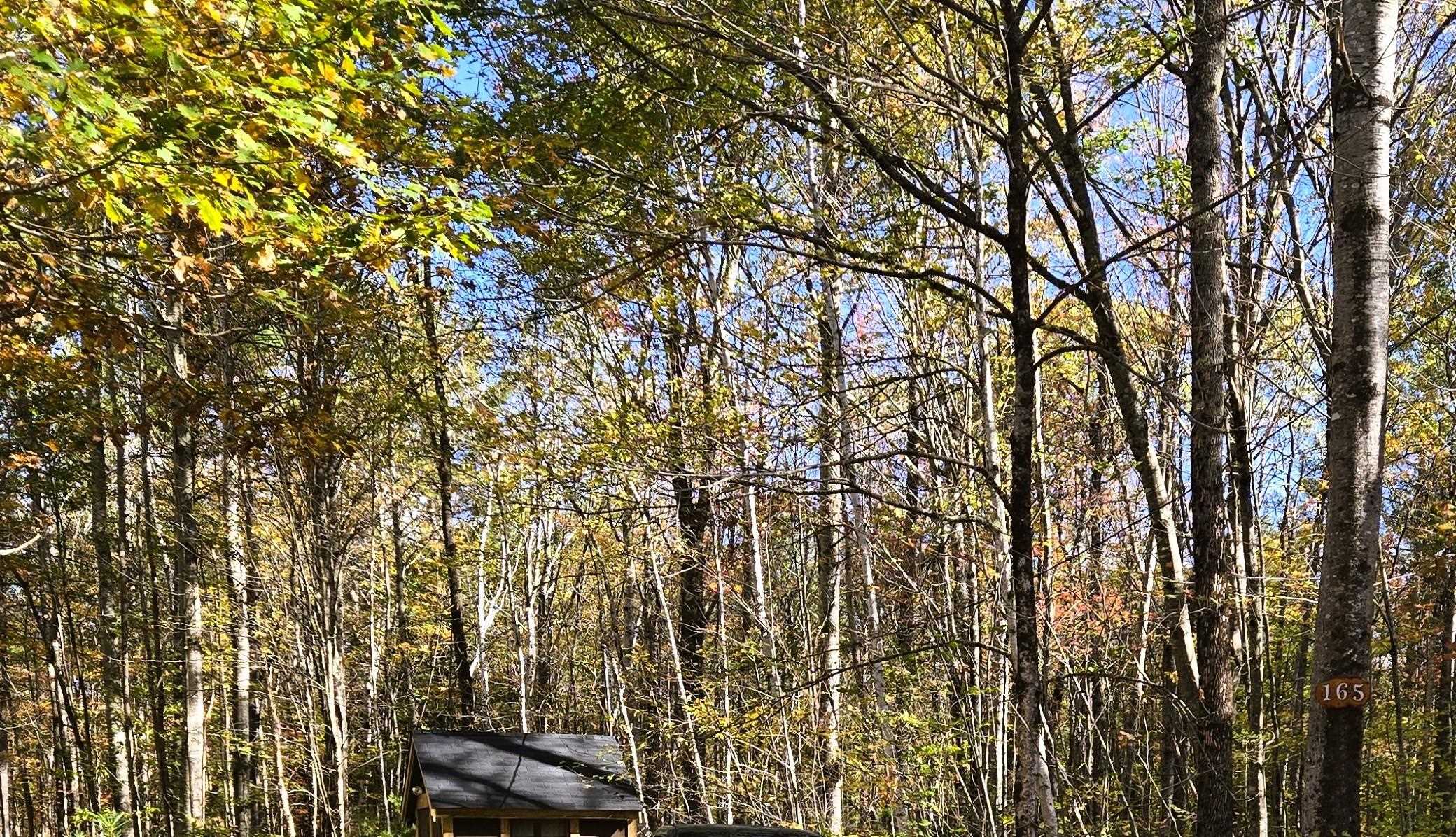 165 Bullocks Crossing Road Grafton, NH 03240 - Photo 4 of 12