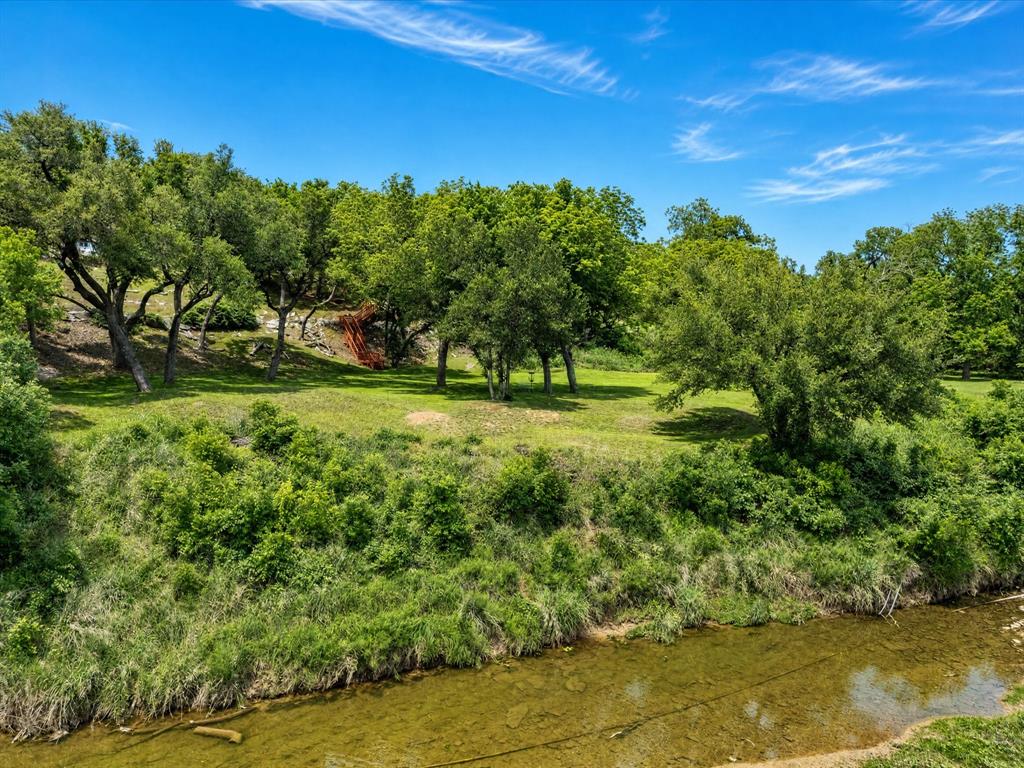 10106 Ravenswood Road Granbury, TX 76049 - Photo 24 of 39 a view of a garden with a tree