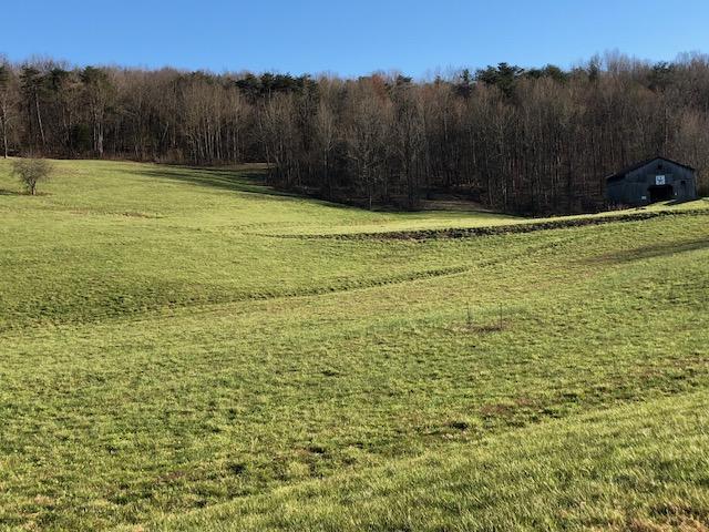 1496 Davis Chapel Road Alpha, KY 42603 - Photo 11 of 11 1311Hancock