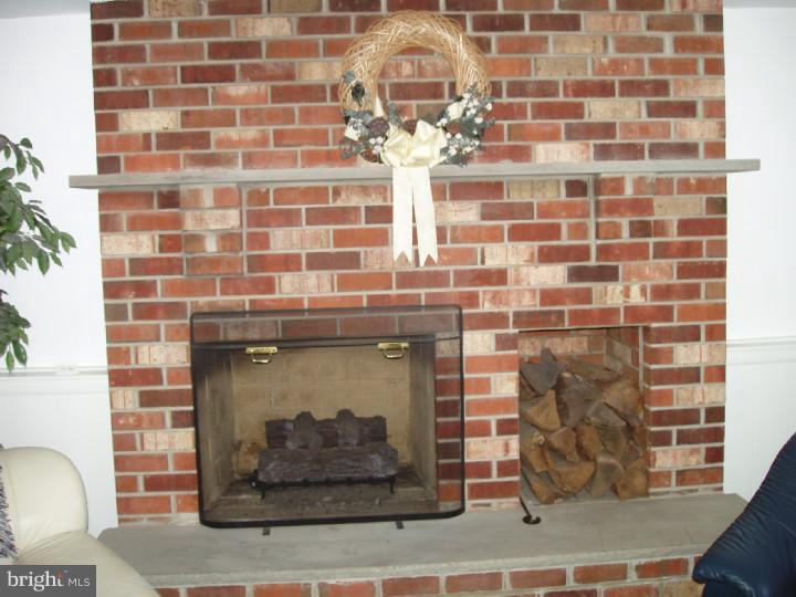 509 Warren Road West Chester, PA 19382 - Photo 13 of 25 Fireplace