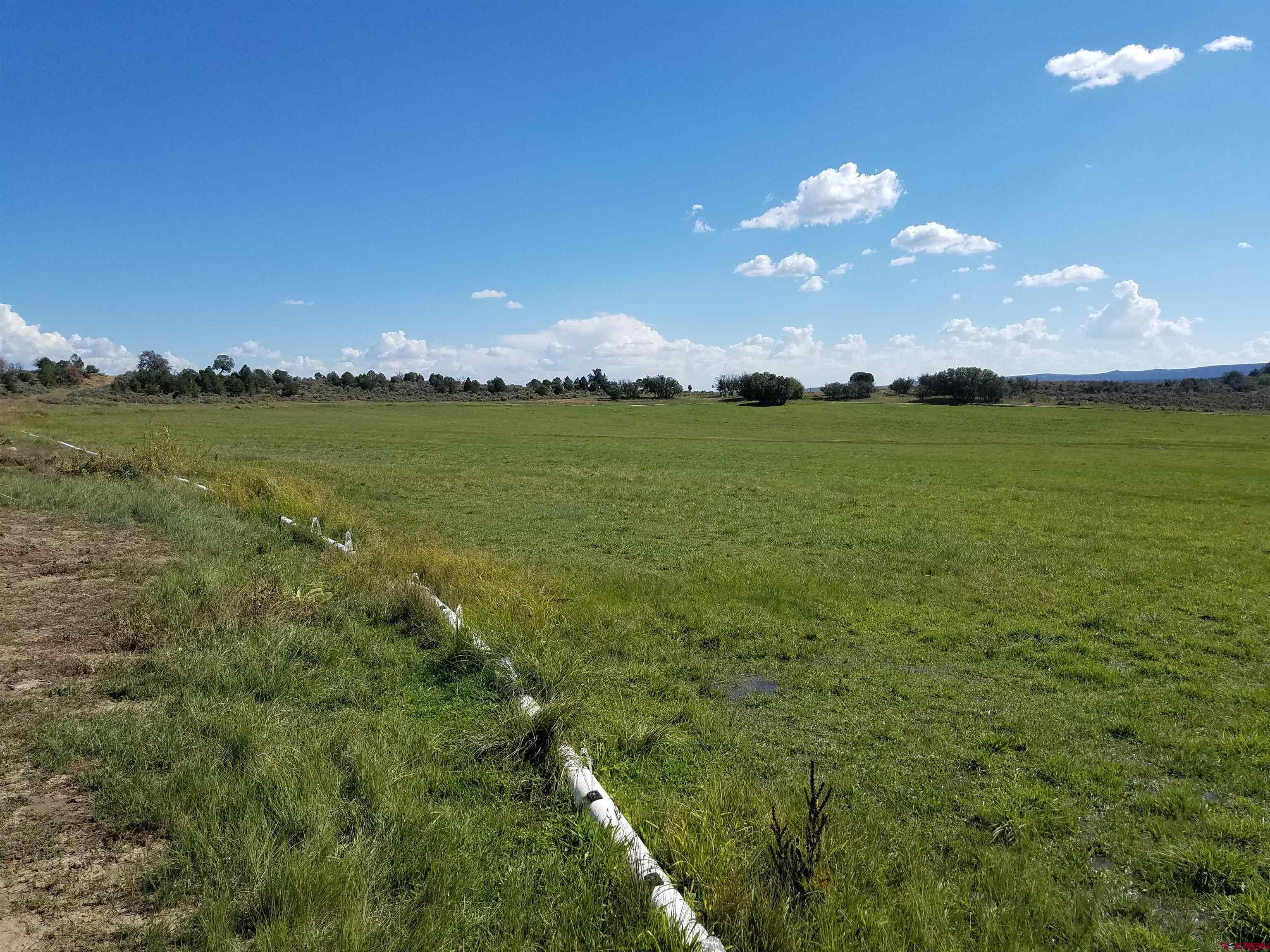 615 County Road 312 Ignacio, CO 81137 - Photo 13 of 35