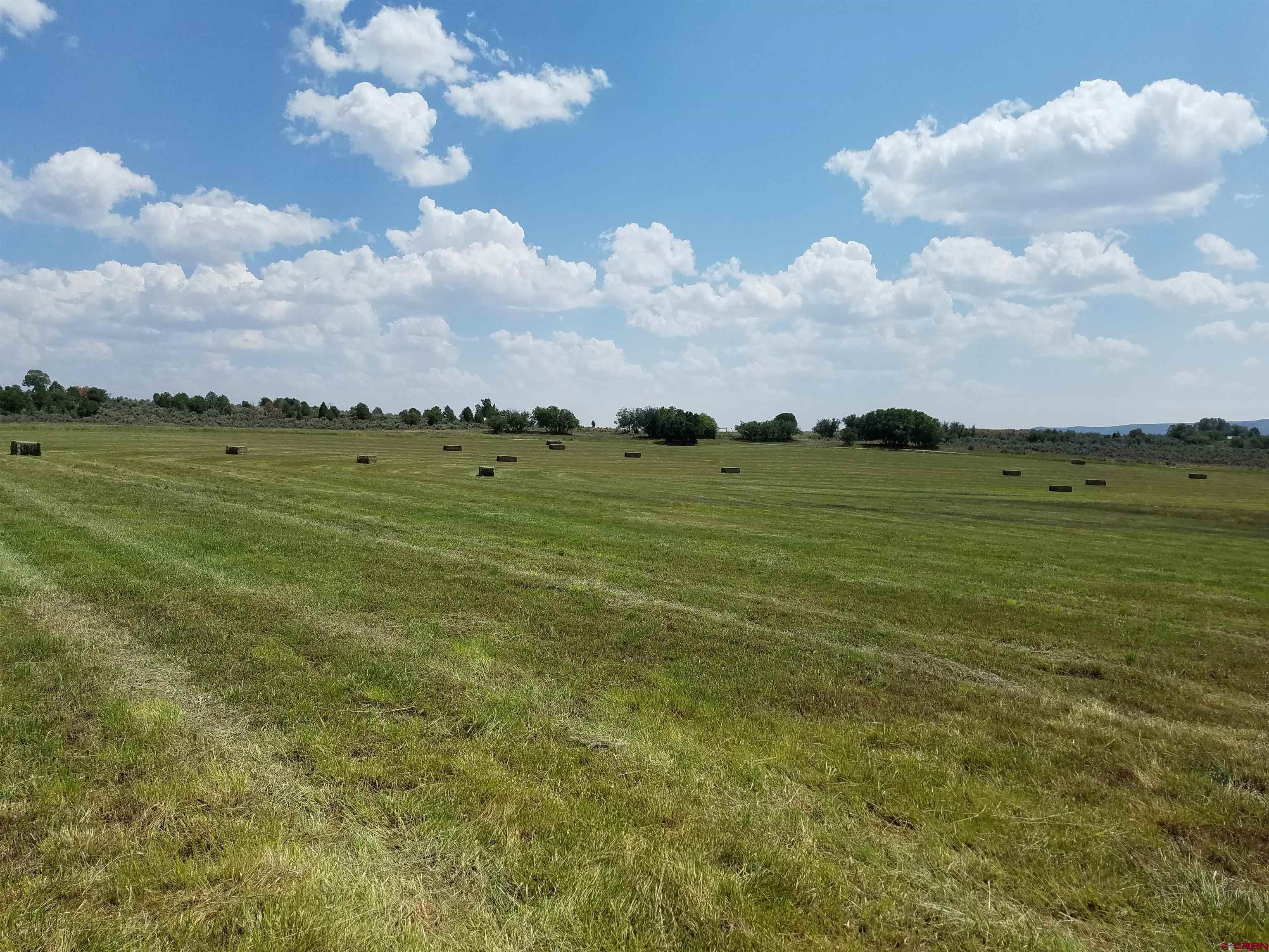 615 County Road 312 Ignacio, CO 81137 - Photo 16 of 35