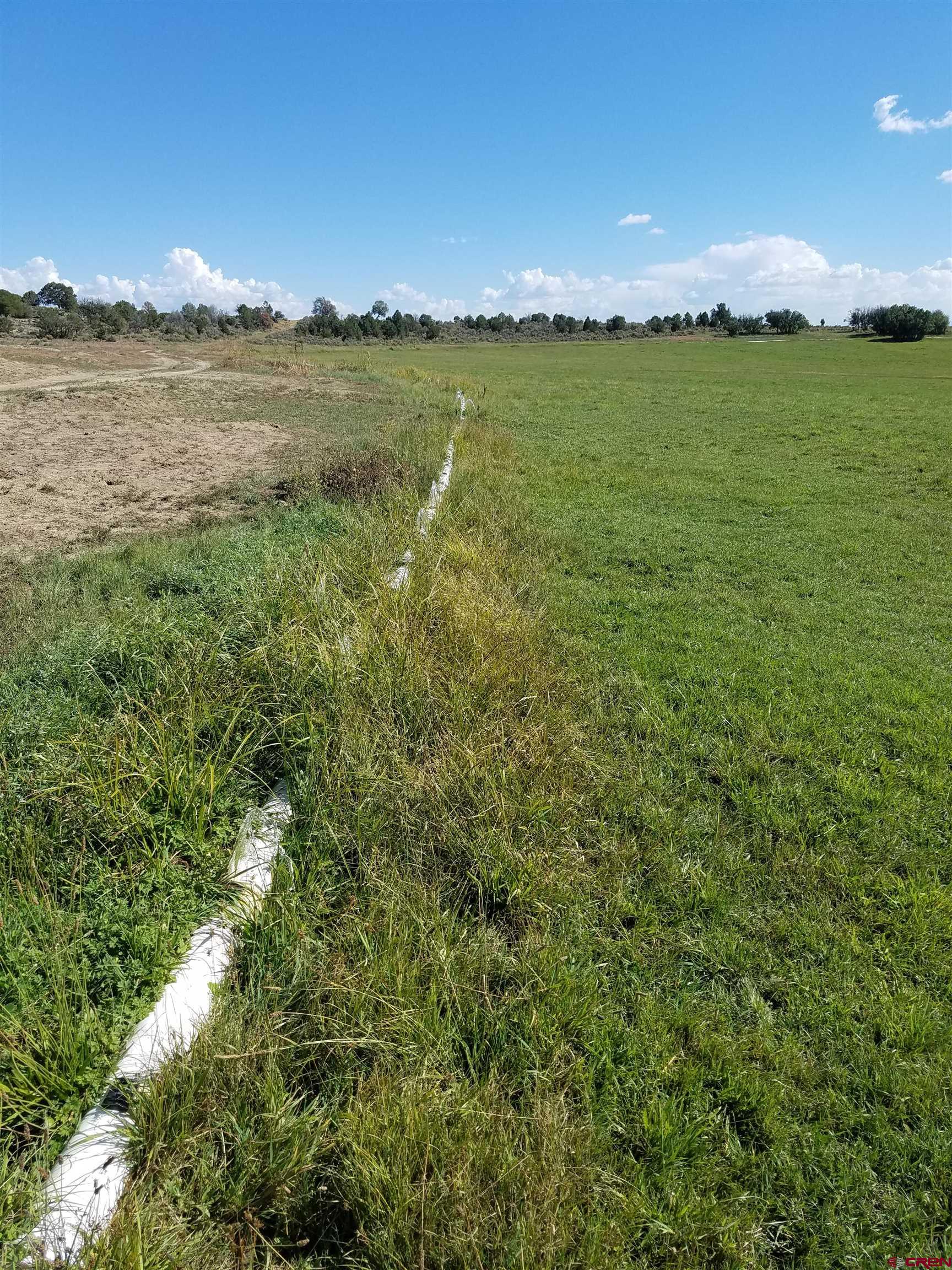 615 County Road 312 Ignacio, CO 81137 - Photo 28 of 35