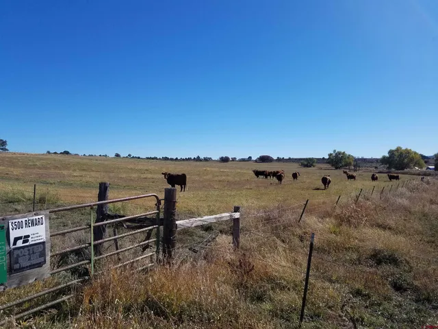 $379,000 | 615 County Road 312, Ignacio, CO 81137