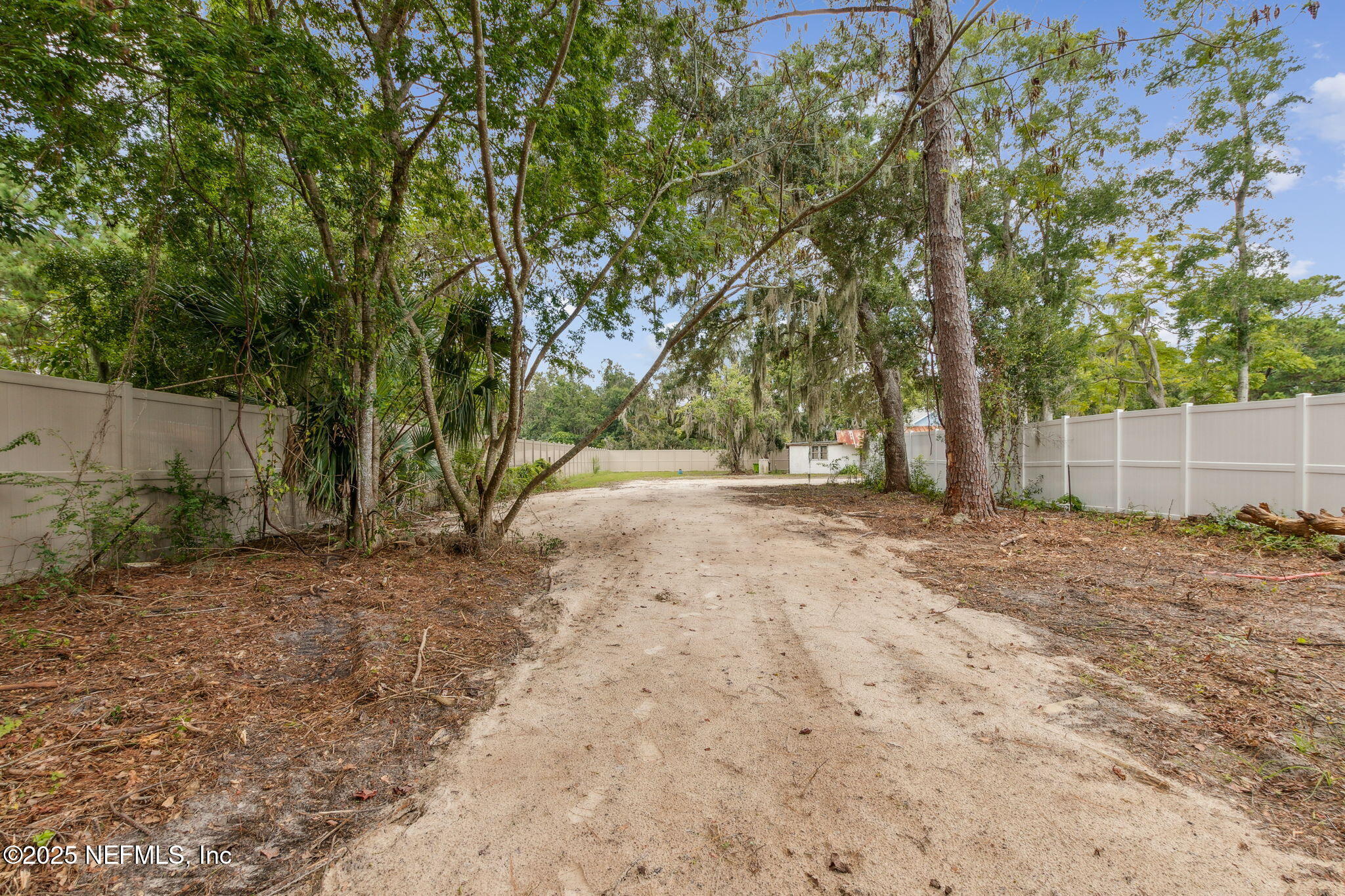 2753 Amelia Road Fernandina Beach, FL 32034 - Photo 39 of 40 a view of backyard and tree