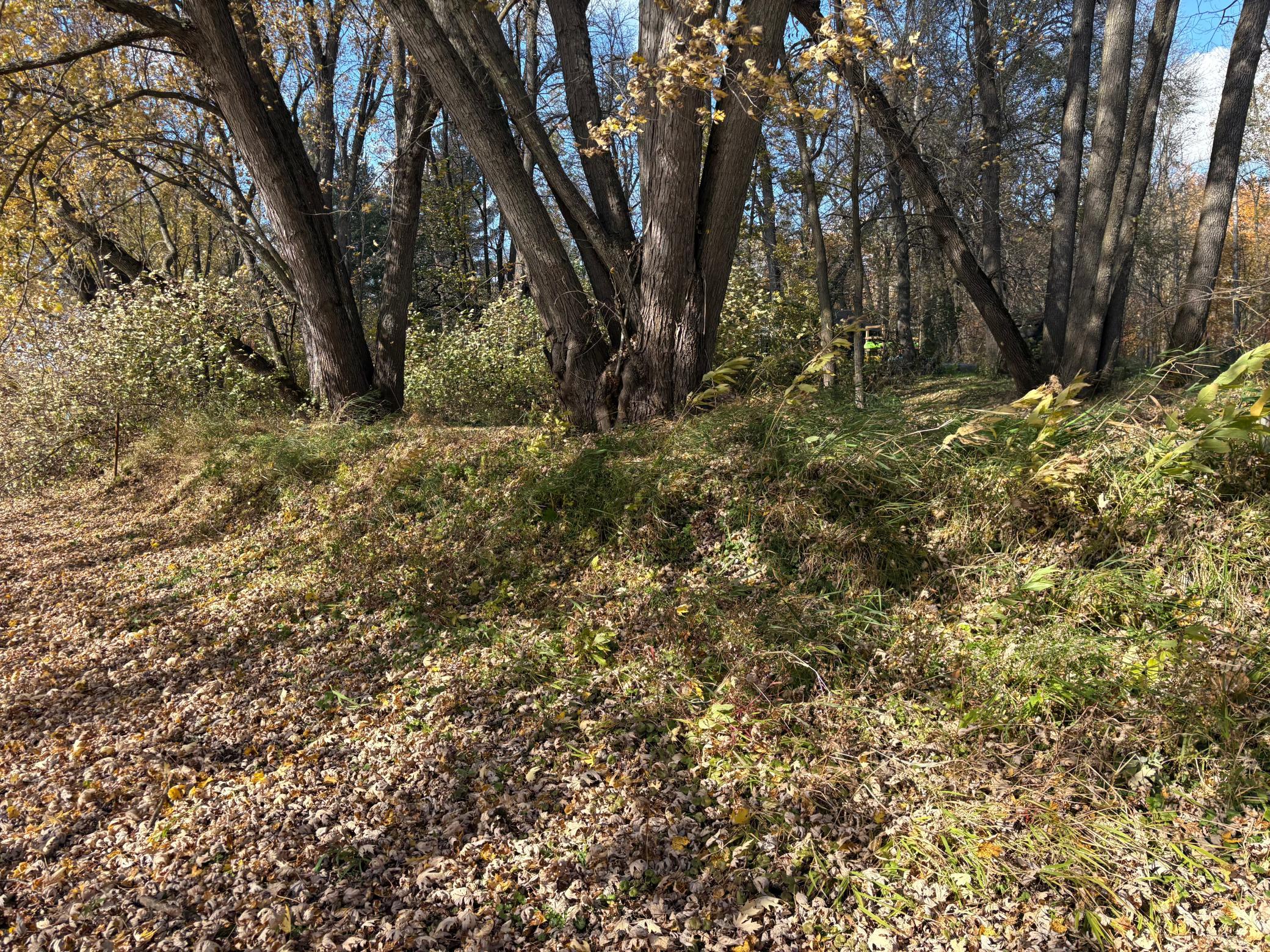28104 Wilderness Road Pine City, MN 55063 - Photo 22 of 37