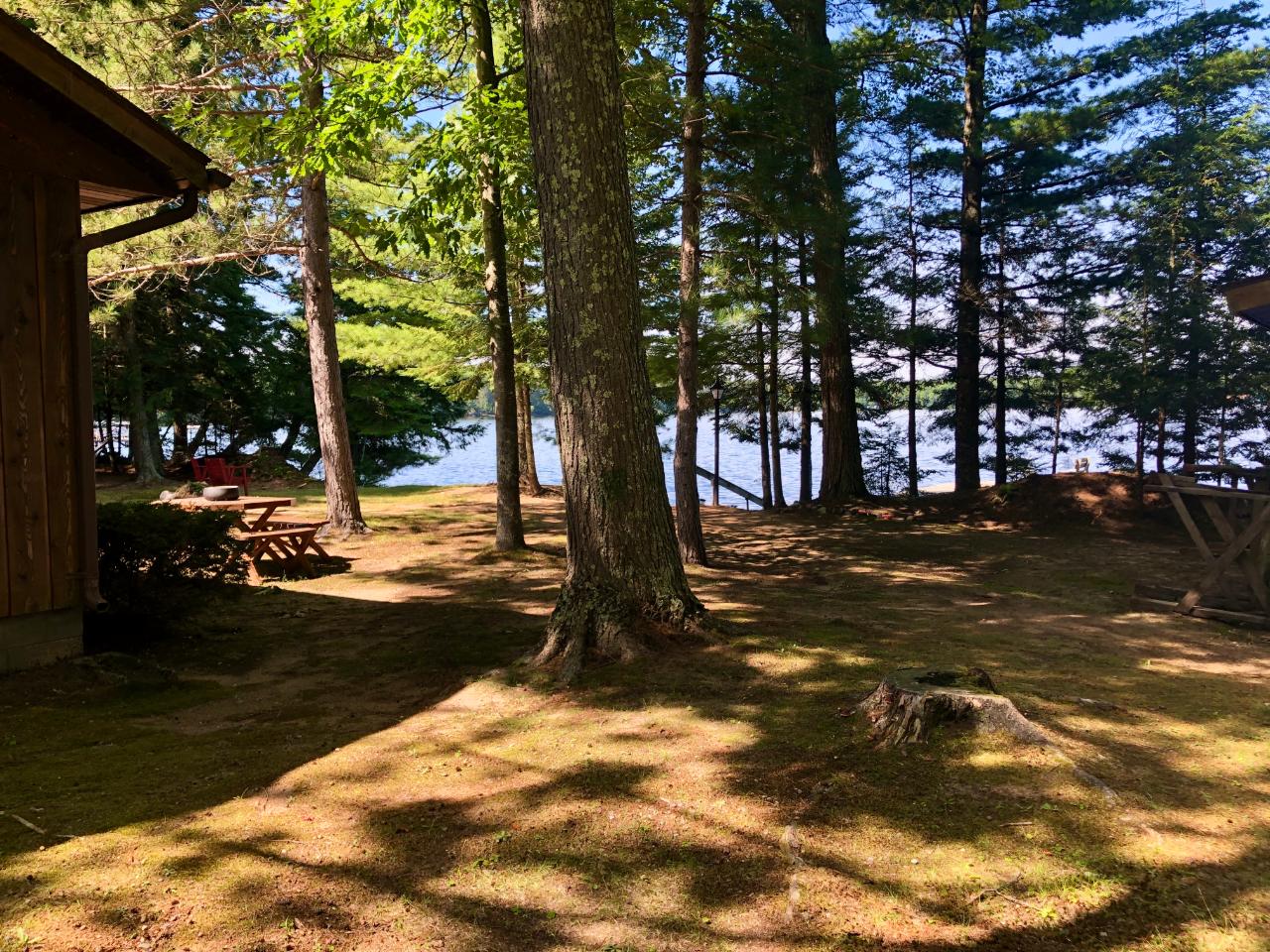 7469 Lumbermill Road Three Lakes, WI 54562 - Photo 3 of 63 Gallery Image 3