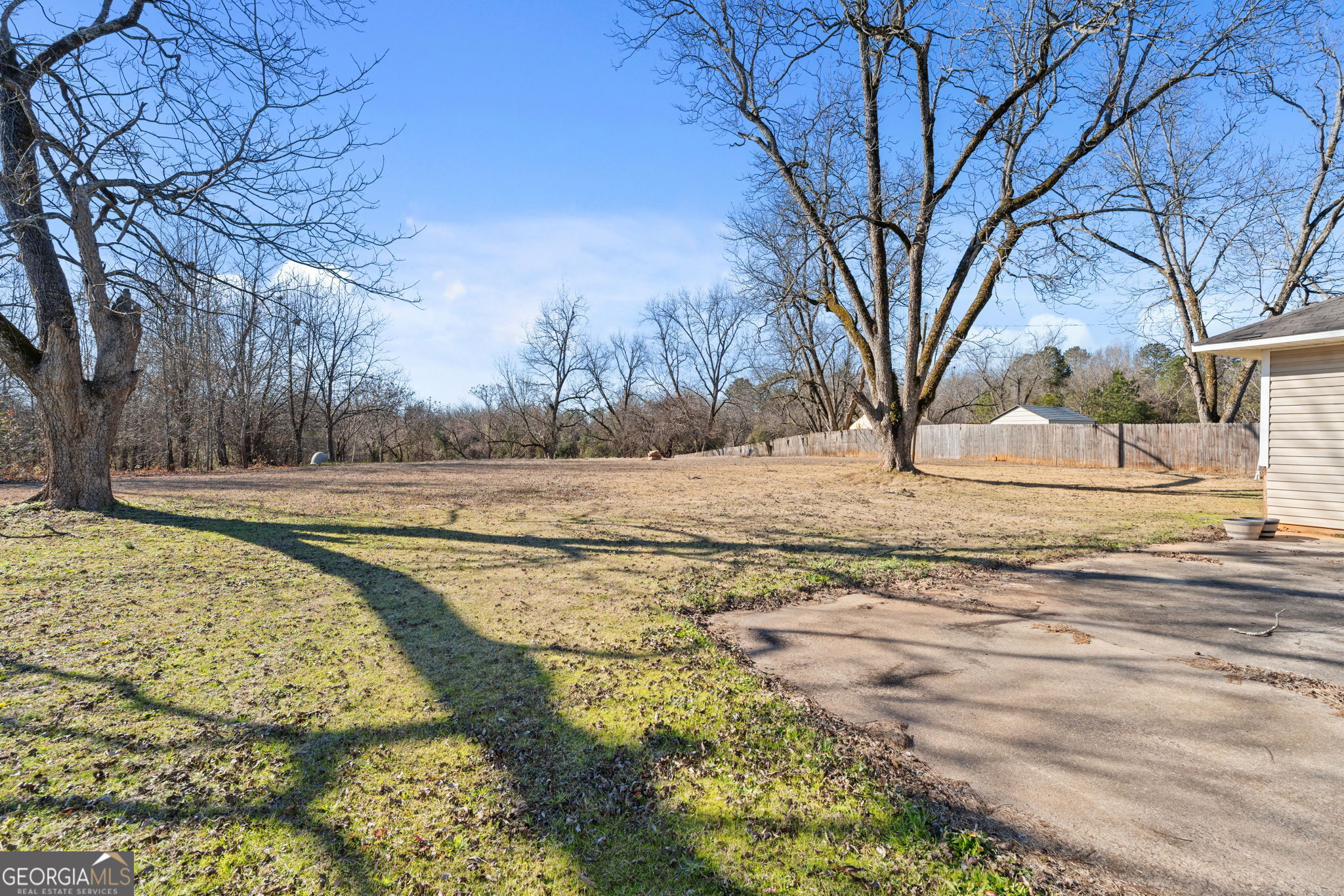 1525 Taylors Mill Road Fort Valley, GA 31030 - Photo 26 of 26 a view of yard with trees