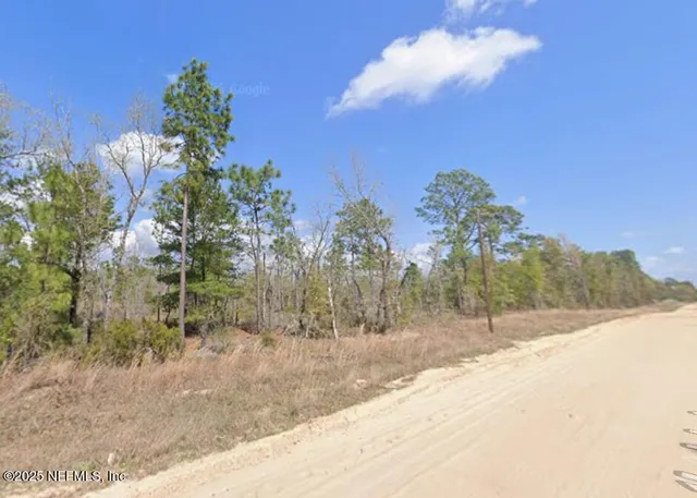 $9,000 | 0 Martindale Avenue, Interlachen, FL 32148