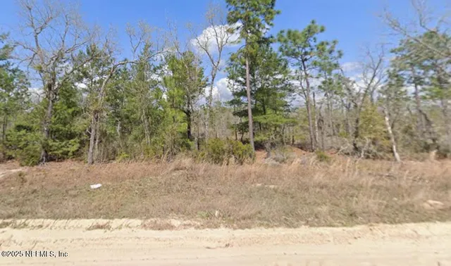 a view of a yard with trees in front of it