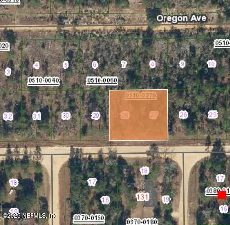 $9,000 | 0 Martindale Avenue, Interlachen, FL 32148