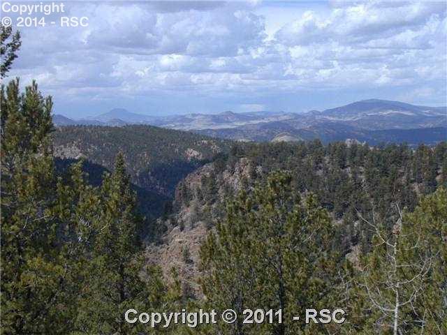 87 Blue Spruce Road Divide, CO 80814 - Photo 8 of 10 Gallery Image 8