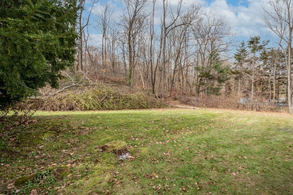117 Malden Street Worcester, MA 01606 - Photo 23 of 25
