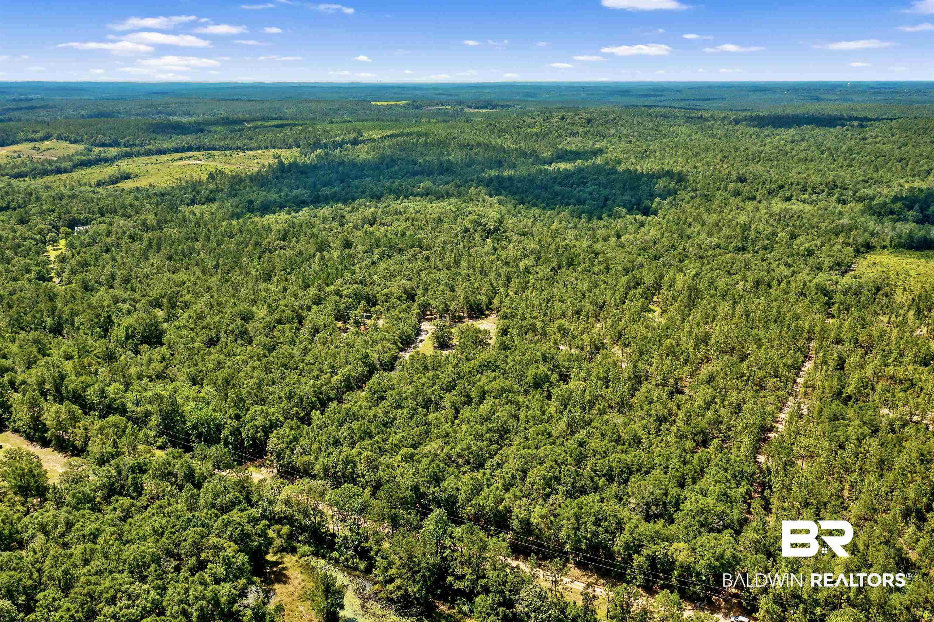 0 Gulfcrest Road Chunchula, AL 36521 - Photo 2 of 5
