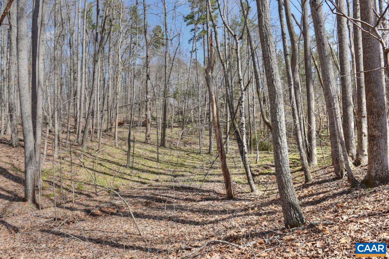James River Road Esmont, VA 22937 - Photo 12 of 12 Gallery Image 12