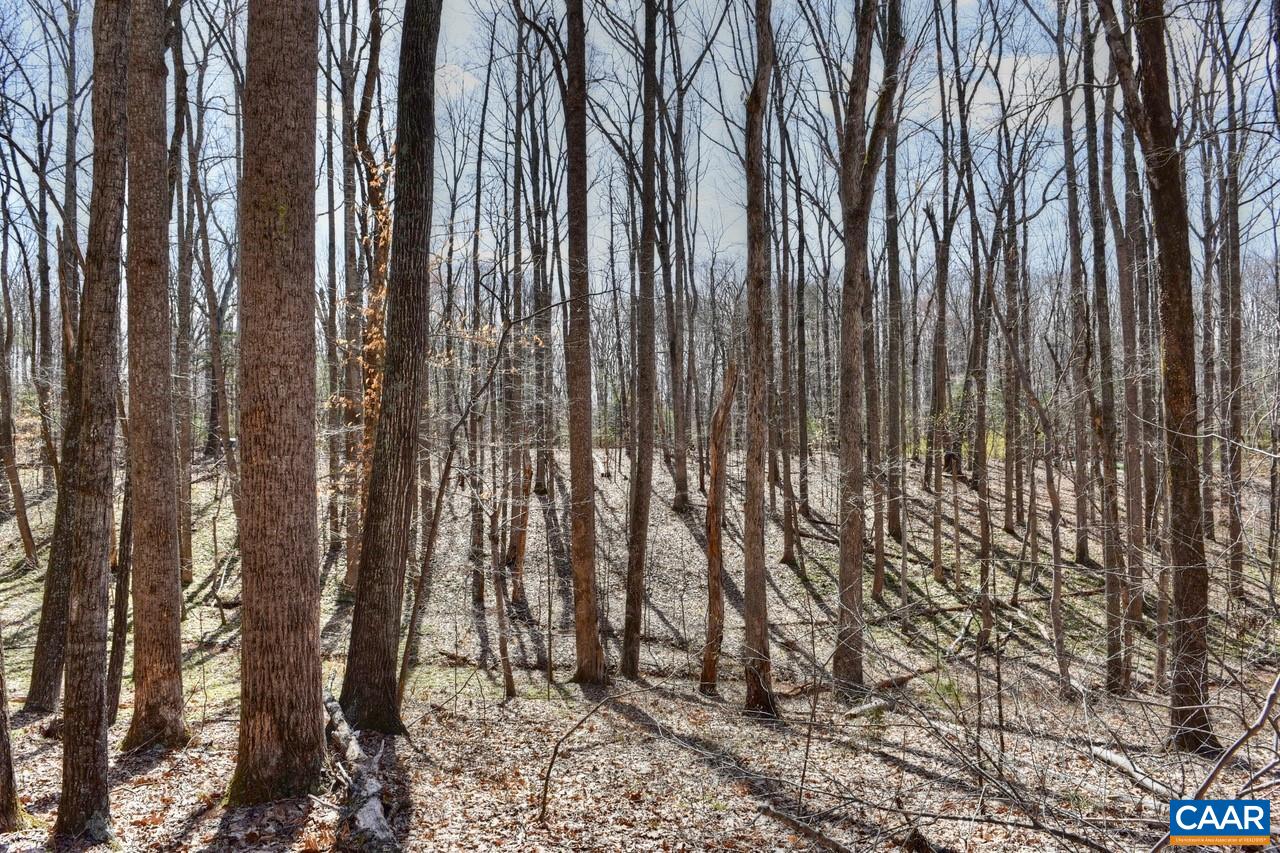 James River Road Esmont, VA 22937 - Photo 4 of 12 Gallery Image 4