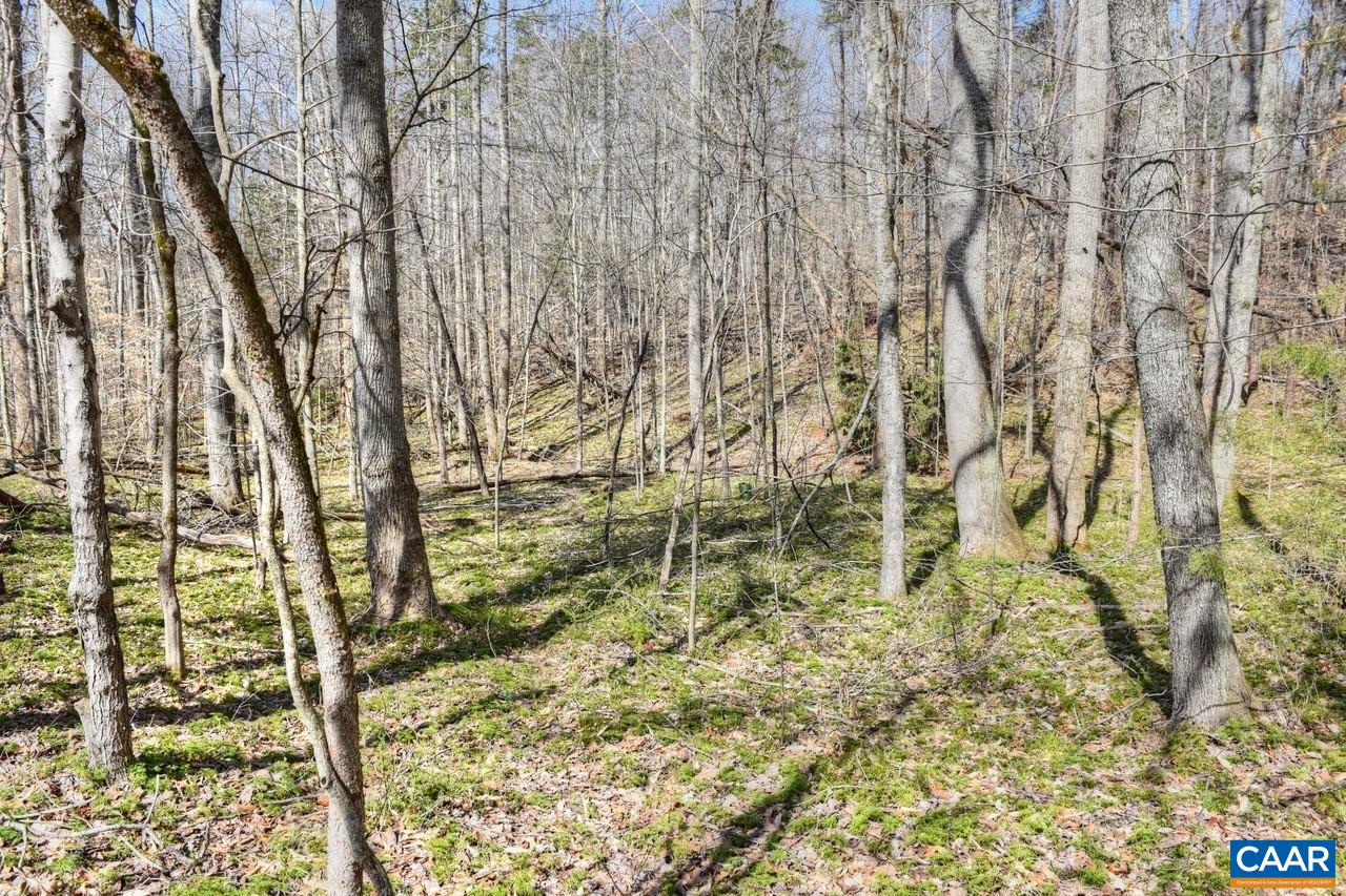 James River Road Esmont, VA 22937 - Photo 6 of 12 Gallery Image 6