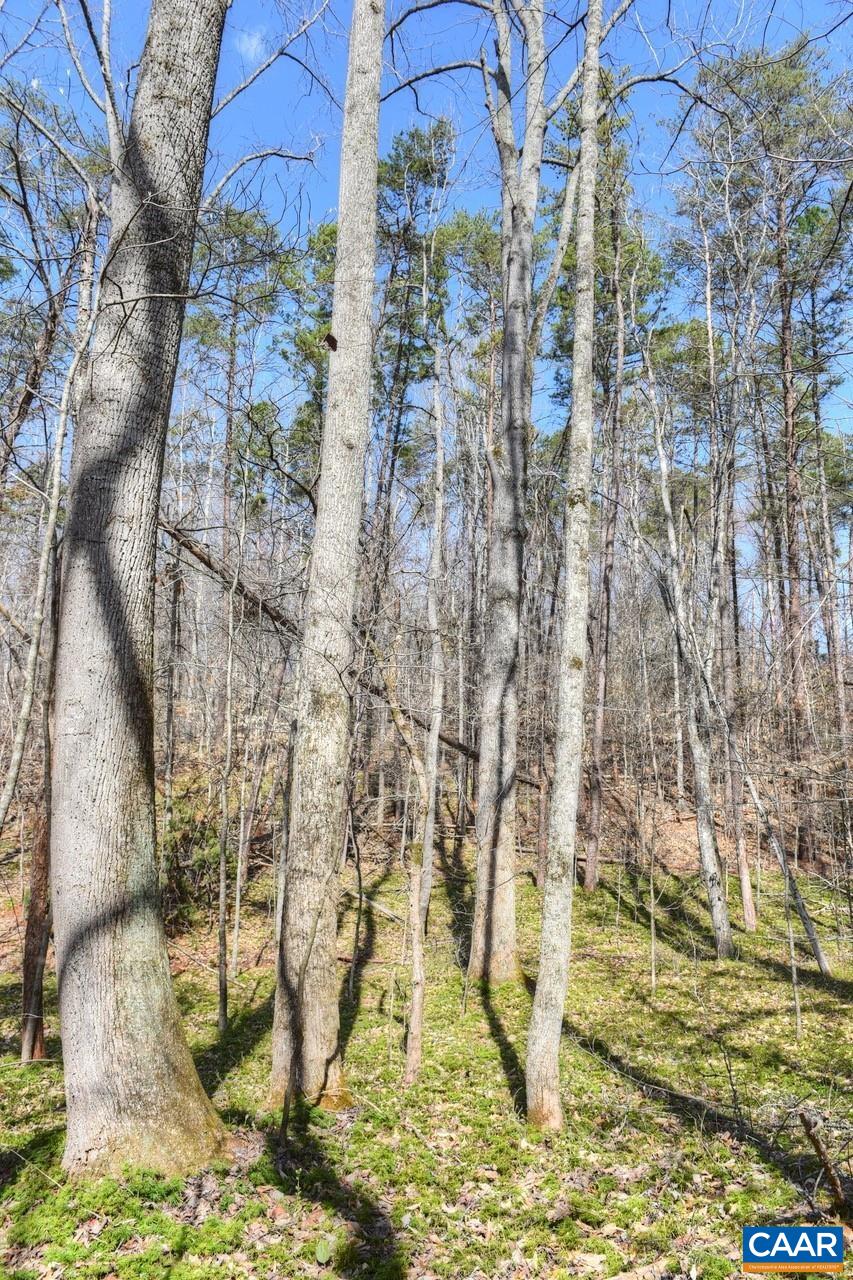 James River Road Esmont, VA 22937 - Photo 7 of 12 Gallery Image 7