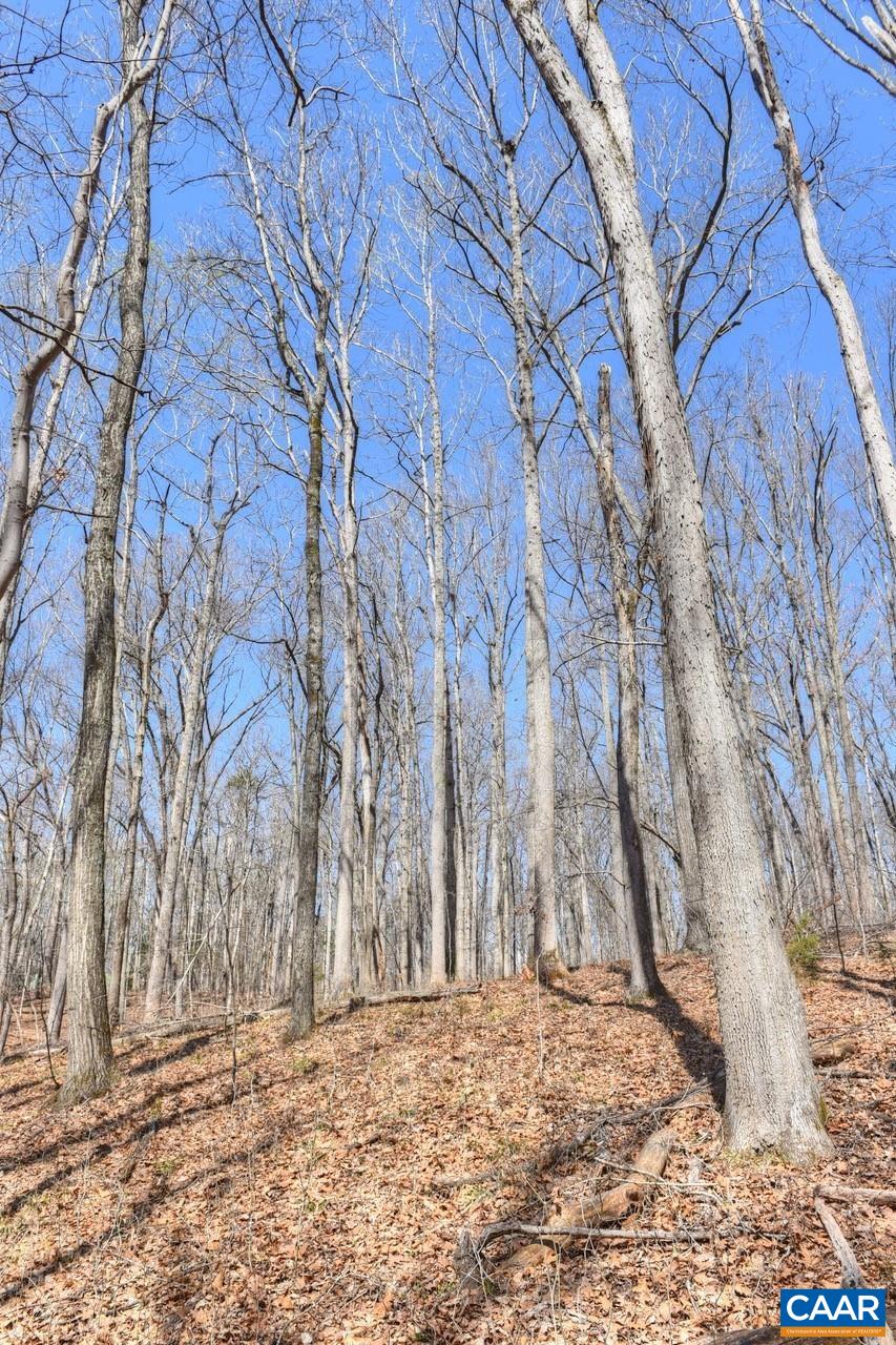 James River Road Esmont, VA 22937 - Photo 8 of 12 Gallery Image 8