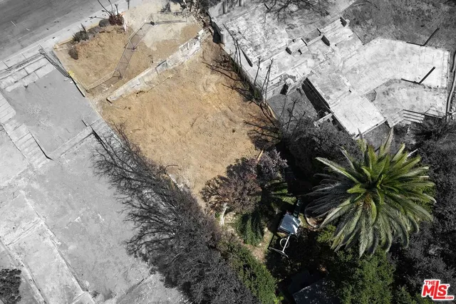 a view of a yard with plants