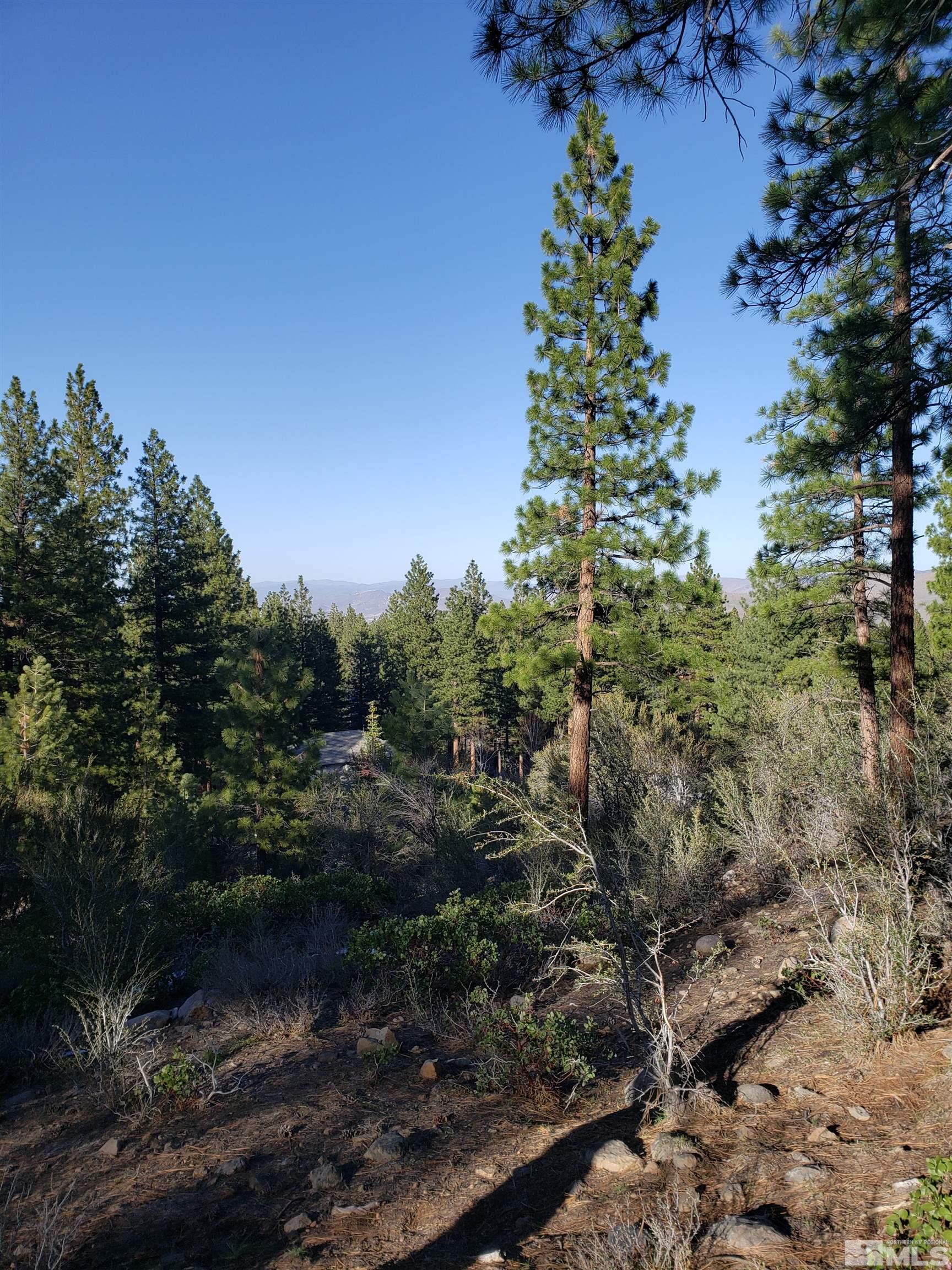 0 Abies Road, Unit 2 Reno, NV 89511 - Photo 2 of 11 Photo 2