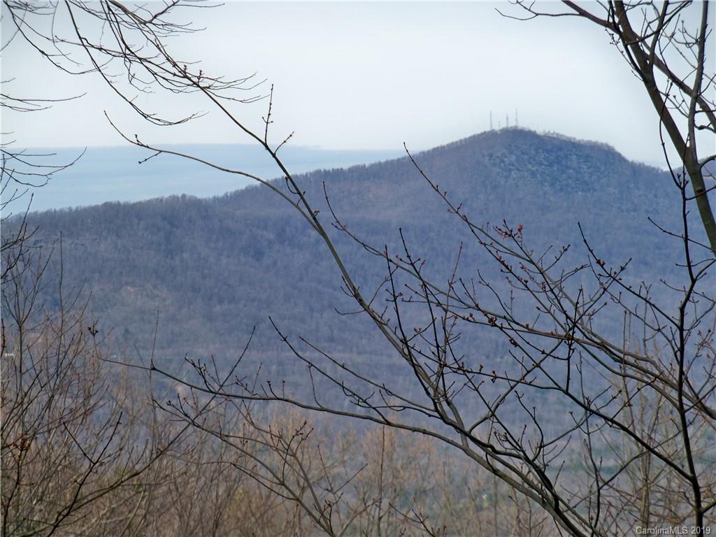 0 Hogback Mountain Road, Unit LOT #66 Tryon, NC 28782 - Photo 1 of 7