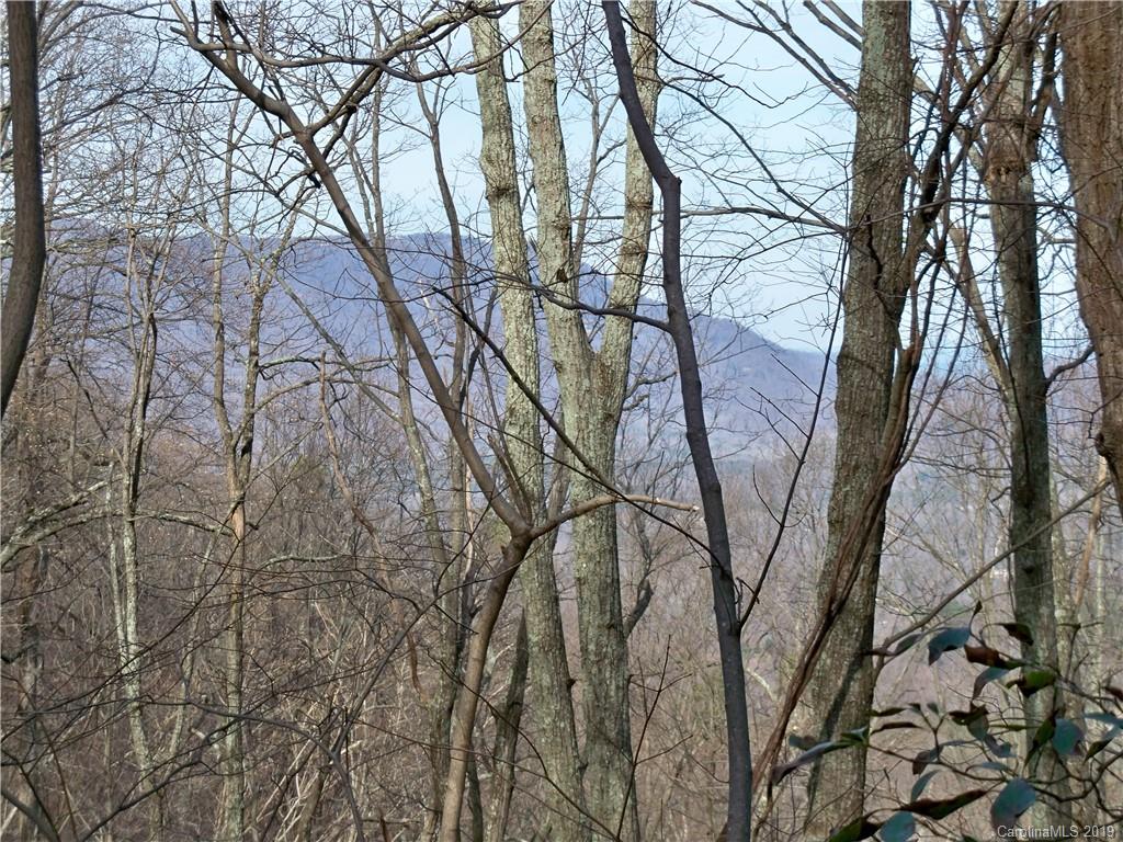 0 Hogback Mountain Road, Unit LOT #66 Tryon, NC 28782 - Photo 2 of 7