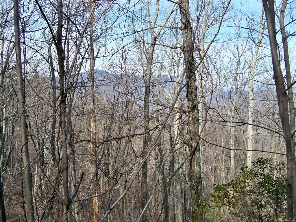 0 Hogback Mountain Road, Unit LOT #66 Tryon, NC 28782 - Photo 3 of 7
